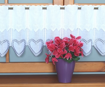 Miniaturka produktu Zazdroska serce